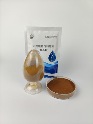 84687-43-4 chinesische Patent-Medizin-Astragal-Polysaccharid-Solvent-Extraktion
