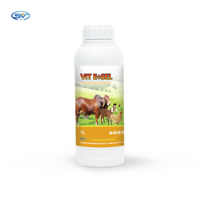 Vitamin E u. Selen-Mundlösungs-Medizin für kleine Vogel-Pferdekatzen und Hunde 5L 1L