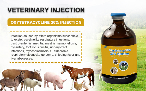Injizierbare Veterinäreinspritzung Drogen-Oxytetracyclin HCl 20% für Vieh-Schaf-Ziegen-Hundetiermedizin
