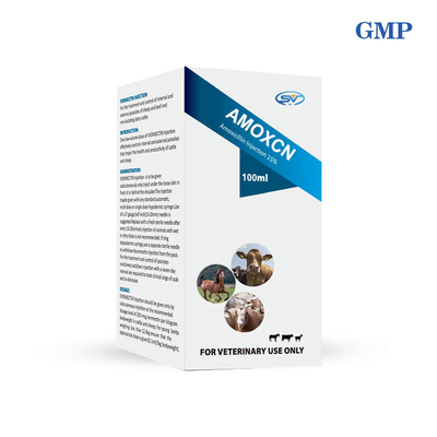 Antiparasitische Veterinärdrogen 100ml der amoxicillin-Einspritzungs-15% für Vieh-Atemweg-Infektion