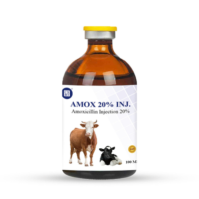 20% antiparasitische Drogen 100ml Amoxicillin-Veterinäreinspritzung für Vieh-Infektion