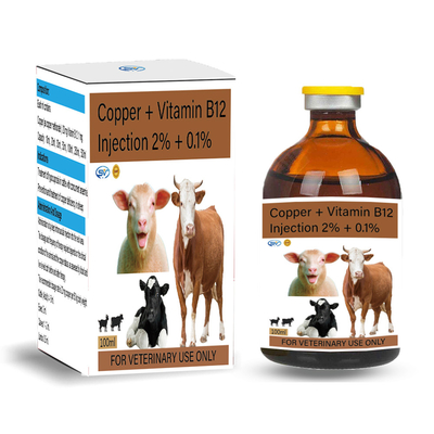 Kupfer + Vitamin B12 2% + 0,1% injizierbare Veterinärdrogen für Kupfermangel in den Schafen