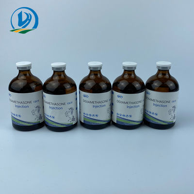 Injizierbare Drogen GMP-Veterinärhochgebogene Hinterkante und Dexamethason-Rennpferd-Medizin-Kamel Butazone-Einspritzung