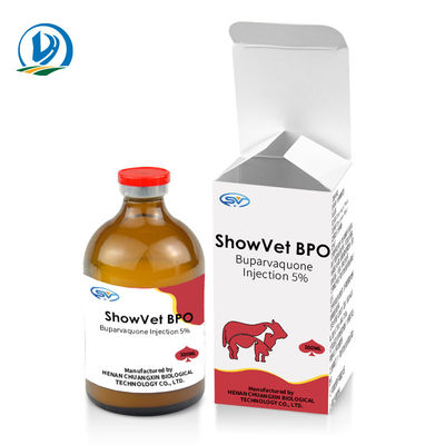 Injizierbare Veterinärdrogen Buparvaquone-Einspritzungs-5% für Vieh-Kalb-Schaf-Ziegen-Hundekatzen